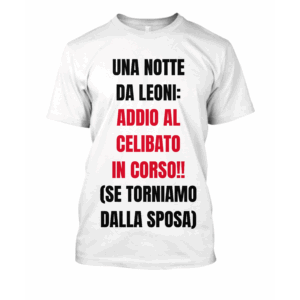 Una notte da leoni: addio al celibato in corso!!(se torniamo dalla sposa)